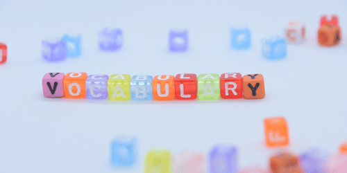 Best Practices Blog Series Part 1: Vocabulary